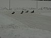PICT1376.JPG
