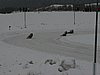 PICT1461.JPG