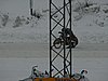 PICT1491.JPG