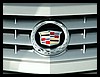 PICT8876.JPG