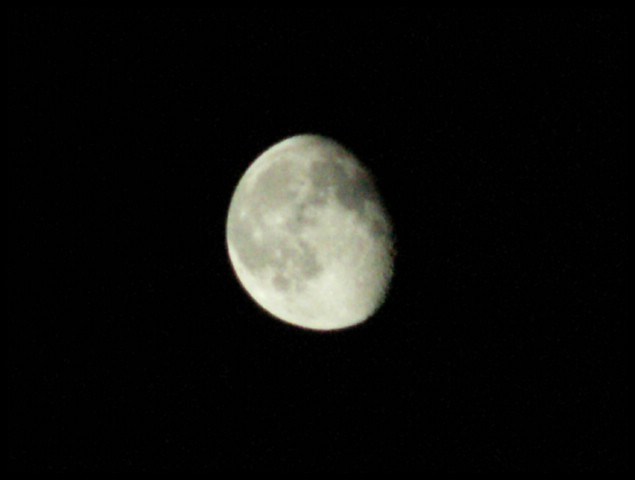 PICT1328.jpg