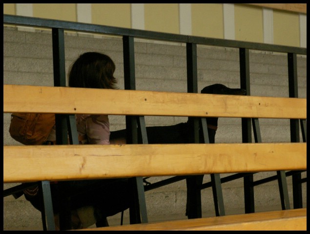 PICT1386.jpg