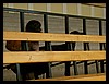 PICT1386.jpg