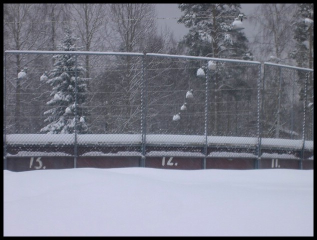 Pict0007.jpg