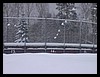 Pict0007.jpg
