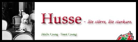 modohusse.jpg
